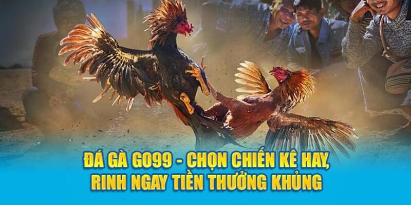 Nhà cái cung cấp đa dạng hình thức để giao dịch