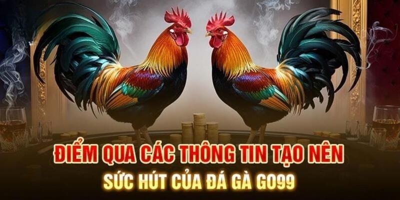 Đá gà Go99 mang đến trải nghiệm đẳng cấp hàng đầu