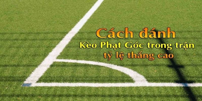 Mẹo tham gia cá cược kèo cược phạt góc chi tiết nhất